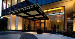 The Ritz-Carlton  (D9), Condominium #475031631